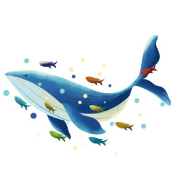 Alternative view of Muursticker Walvis met visjes